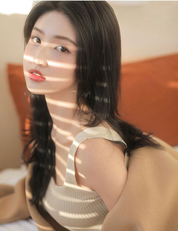 波士顿伴游价格